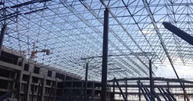 龙井经验丰富 质量保证